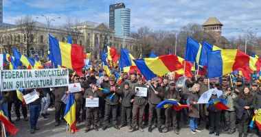 Stire din Actualitate : Silvicultorii ies în stradă nemulțumiți de reorganizarea Romsilva