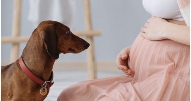 Stire din Actualitate : Femeile vaccinate pot transmite bebelușilor anticorpi COVID-19