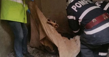 Femeie decedată  de jumătate de an, găsită  în casă, sub dărâmături - 3