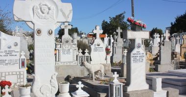 Stire din Social : Groază în Cimitirul Central din Constanța. Un bărbat a agresat și lovit trei femei