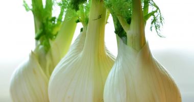 Feniculul vă asigură necesarul zilnic de vitamine și magneziu