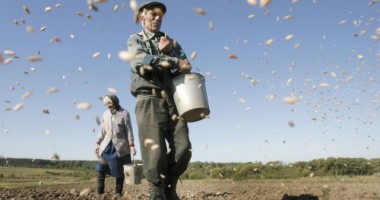 Stire din Economie : Fermierii în vârstă, stimulați prin subvenții să cedeze terenurile tinerilor