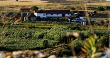 Stire din Economie : Tinerii fermieri ar putea beneficia de o creștere a plăților directe