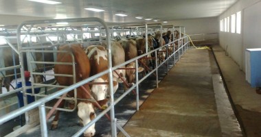 Stire din Economie : Măsura pentru fermele de familie se va deschide pe 25 iunie