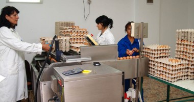 Stire din Economie : Avicola Corbu, investiții de milioane de euro