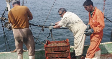 Stire din Economie : Câte locuri de muncă poate da Marea Neagră?