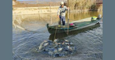 Stire din Economie : Fermele piscicole, obligate să returneze banii europeni