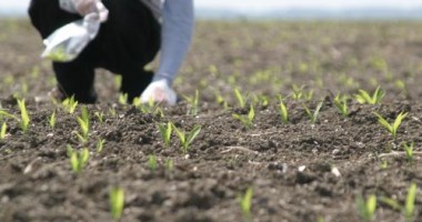 Stire din Economie : Iată de la ce bănci pot lua credite fermierii constănțeni