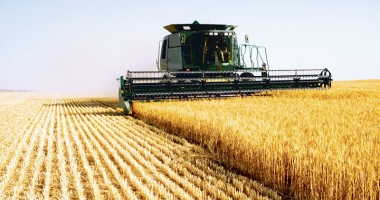 Stire din Economie : Fermierii constănțeni plătesc tribut secetei