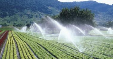 Stire din Economie : Fermierii au depus 301 de proiecte de irigații pentru finanțare nerambursabilă