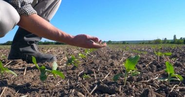 Stire din Economie : Fermierii cer urgentarea procedurii de evaluare a pagubelor din agricultură
