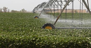 Stire din Economie : Fermierii își amintesc de irigații doar când îi lovește seceta