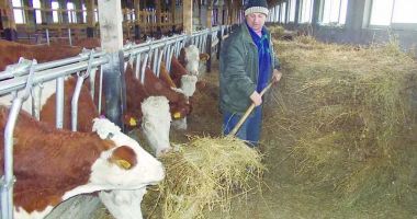 Stire din Economie : Fermierii pot primi ajutor de stat, dacă angajează tineri