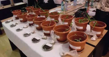 Stire din Social : Cum poți să fertilizezi pământul dobrogean cu alge și nămol