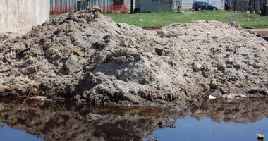 Cum poți să fertilizezi pământul dobrogean cu alge și nămol - 2