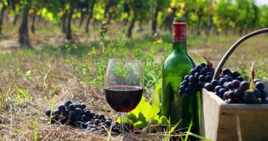 Stire din Economie : Festivalul Gastronomiei și Vinului Românesc, la Constanța