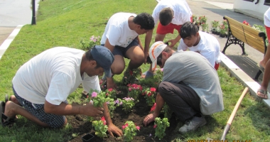 Festivalul florilor, la grădina botanică din Techirghiol - 2
