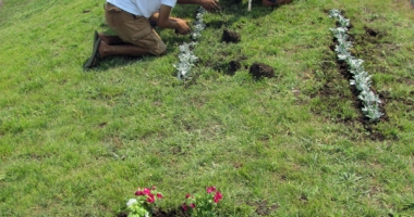 Festivalul florilor, la grădina botanică din Techirghiol - 3