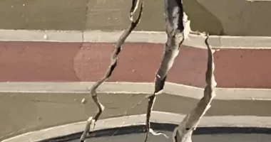 Situație îngrijorătoare. Biserica „Adormirea Maicii Domnului”, afectată de probleme de infrastructură - 7