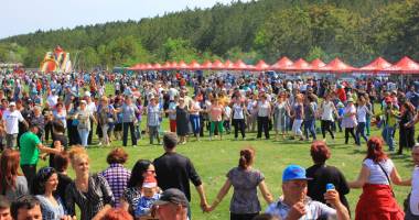Fiii satului Albești s-au reunit la petrecerea organizată de primarul Gheorghe Moldovan - 3