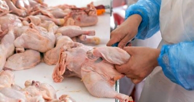 Stire din Economie : Fiscul a descoperit o fraudă de peste 46,13 milioane lei, cu produse din carne