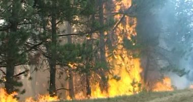 Stire din Eveniment : INCENDIU DE AMPLOARE! Peste 80 de persoane se luptă cu flăcările