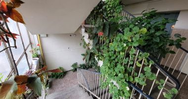 Stire din Social : Nu este de joacă dacă stai la bloc! Ce amendă riști dacă faci asta!