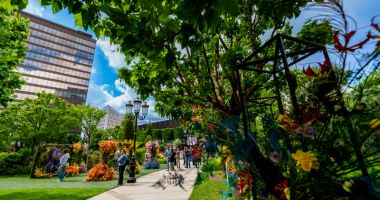 25 ani de evenimente memorabile în rețeaua Iulius Mall și proiectele de regenerare urbană Palas Iași și Iulius Town Timișoara - 3