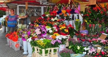 Stire din Diverse : Afacerea cu flori n-a mai "înflorit" de Sfânta Maria