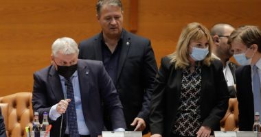 Stire din Politică-Administrație : Liberalul Florin Roman vrea să facă toate demersurile pentru demiterea Ancăi Dragu