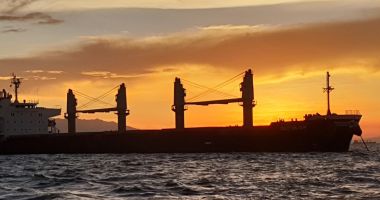 Stire din Social : "Gulerele albe" ale shipping-ului românesc se radicalizează