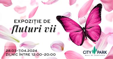 Stire din Social : Descoperă farmecul exotic al naturii! Peste 150 de fluturi tropicali te așteaptă la City Park Mall of Constanța