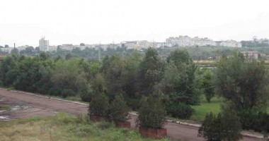 Fluturii, păsările și iepurii pun stăpânire pe terminalul Comvex - 4