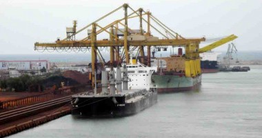 Fluturii, păsările și iepurii pun stăpânire pe terminalul Comvex - 5