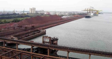 Fluturii, păsările și iepurii pun stăpânire pe terminalul Comvex - 6
