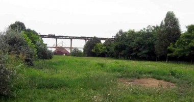 Fluturii, păsările și iepurii pun stăpânire pe terminalul Comvex - 7