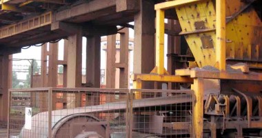 Fluturii, păsările și iepurii pun stăpânire pe terminalul Comvex - 8