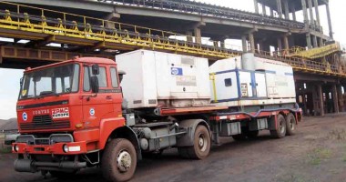 Fluturii, păsările și iepurii pun stăpânire pe terminalul Comvex - 9