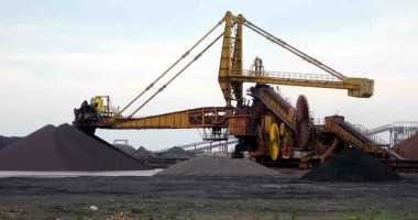 Fluturii, păsările și iepurii pun stăpânire pe terminalul Comvex - 10