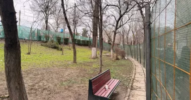 Revolta locatarilor din Abator! Un petic de spațiu verde, sacrificat pentru o parcare controversată - 7