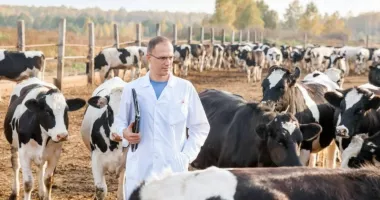 Criză în medicina veterinară rurală! Animalele rămân fără tratament - 2