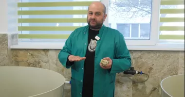 Stire din Social : Scoici și creveți „crescuți” în laborator, la Institutul „Grigore Antipa”