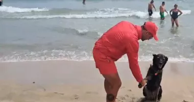 De la adăpost, pe plaja din Eforie! Igor, mascota salvamarilor și prietenul turiștilor