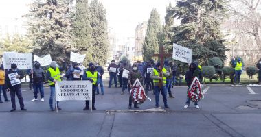 Stire din Economie : Sătui de promisiuni, fermierii au ieşit în stradă! „Am primit o palmă şi cu seceta şi cu pandemia”