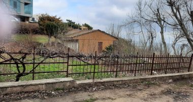 Stire din Social : Comoara antică de sub pământ. Va fi pus în valoare mormântul pictat Hypogeu?