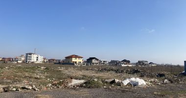 Stire din Social : Cartierul Veterani, vile cochete, gunoaie, maidanezi şi terenuri de zeci de mii de euro