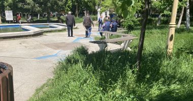 Stire din Politică-Administrație : Constanţa, raiul bălăriilor! „Ne-au năpădit şopârlele!” Ce soluții are primăria