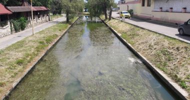Stire din Social : Satul de Vacanţă, uitat de autorităţi. Canalul care leagă cele două lacuri, focar de infecţie