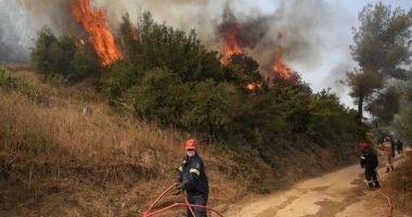 Stire din Actualitate : Grecia a demarat o anchetă privind cauza incendiilor. Se pare că focurile au fost puse