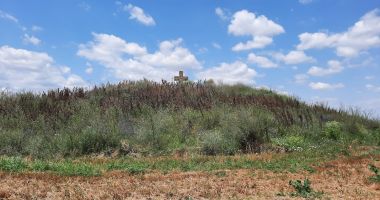 Stire din Social : Monument dedicat eroilor Dobrogei, ajuns ruină într-o cultură de floarea soarelui!